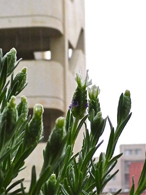 b0027736_2333240.jpg