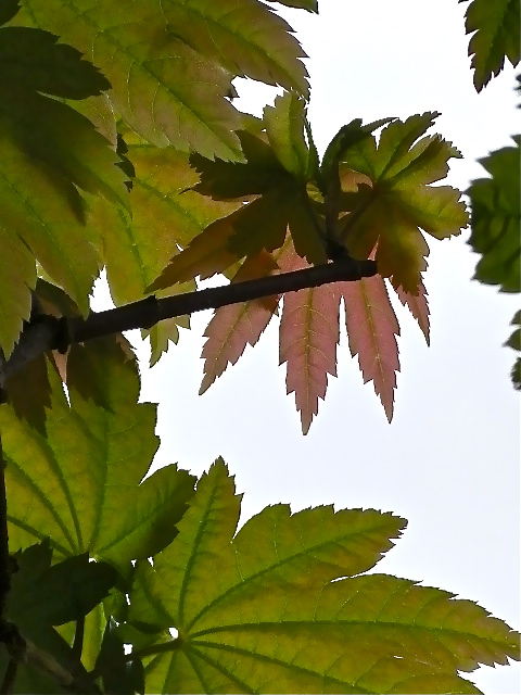 b0027736_2334133.jpg