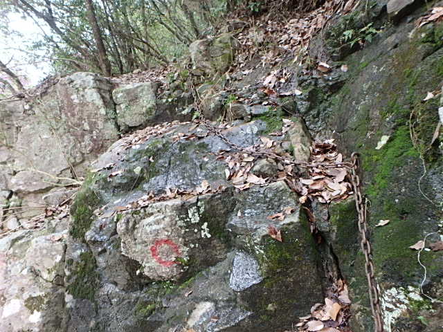 f0334143_8444037.jpg