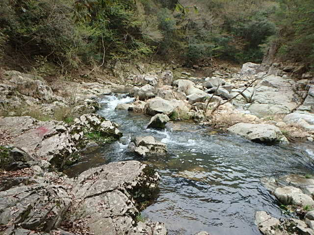 f0334143_8445717.jpg
