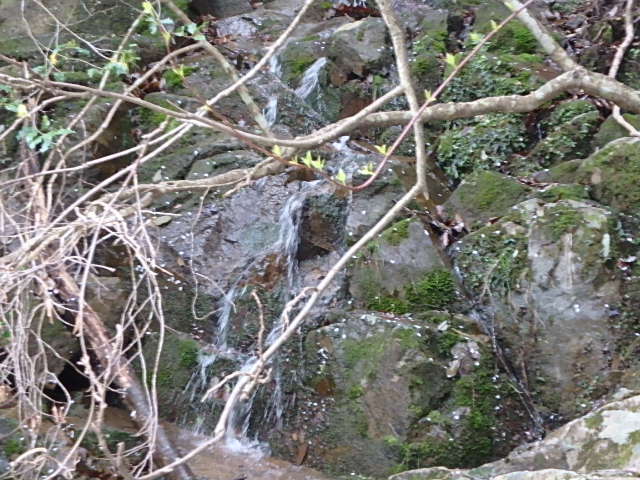 f0334143_8451297.jpg