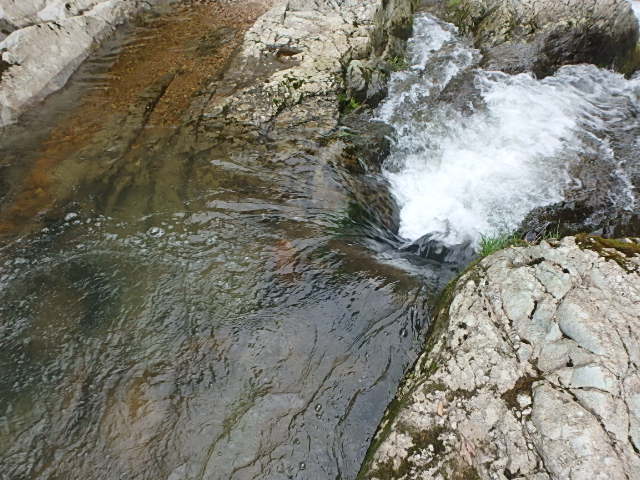 f0334143_8461385.jpg