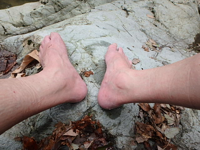 f0334143_8471240.jpg