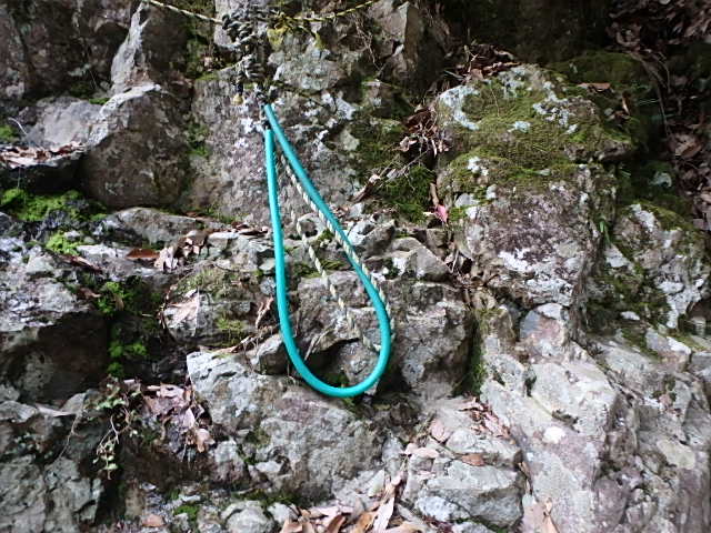 f0334143_8491955.jpg