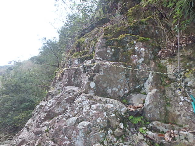 f0334143_8493485.jpg