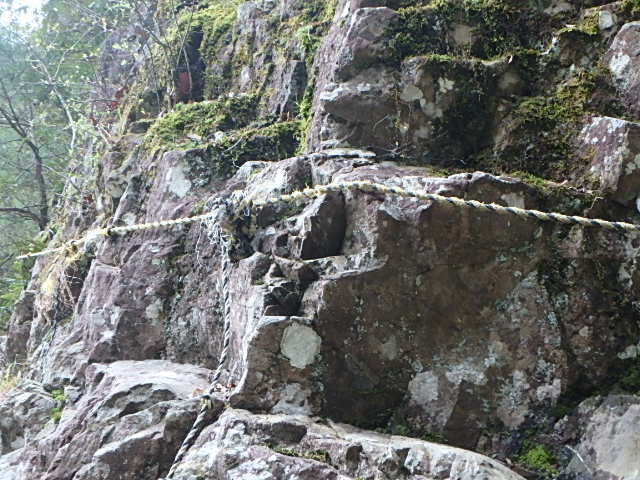 f0334143_8495323.jpg