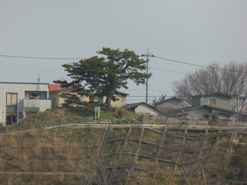 b0238249_1772812.jpg