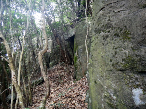 c0179351_843189.jpg