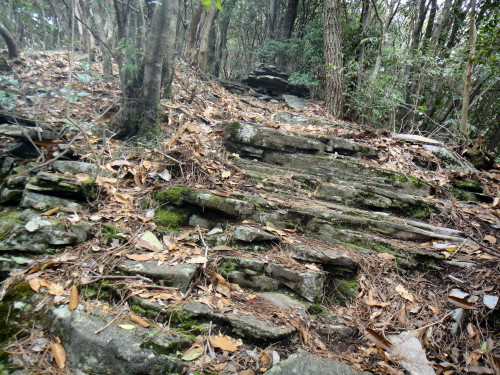 c0179351_8435899.jpg
