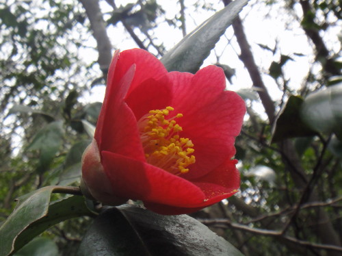 c0179351_8444638.jpg