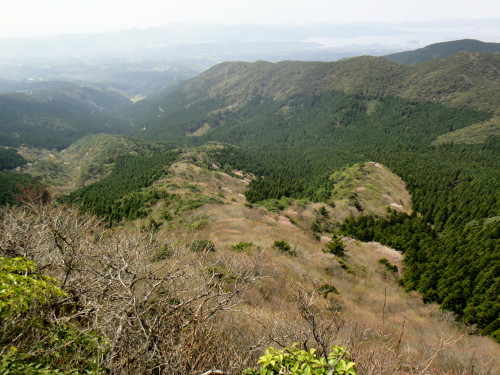 c0179351_84702.jpg
