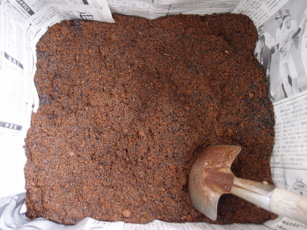 c0354352_22481673.jpg