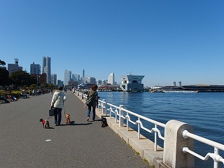 e0004756_20273715.jpg