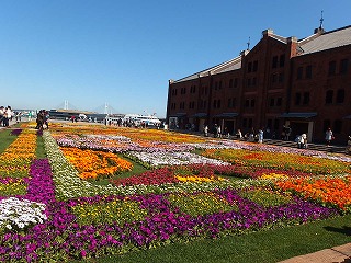e0004756_2031083.jpg