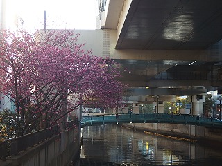 e0004756_2141181.jpg
