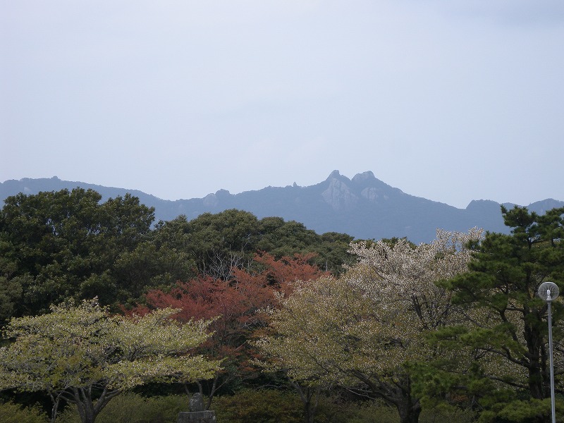 b0104861_1901668.jpg