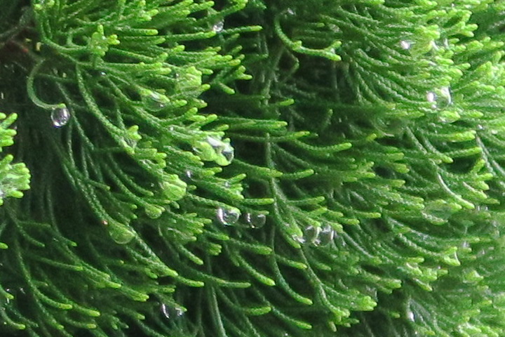 e0292172_20405694.jpg