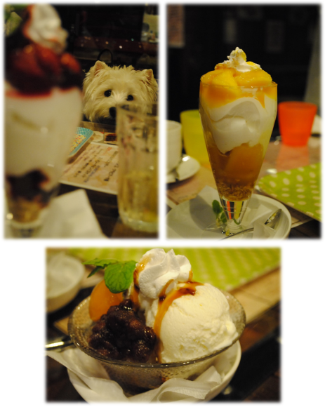 b0242873_01540226.png