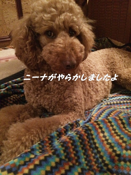 c0283778_11481413.jpg