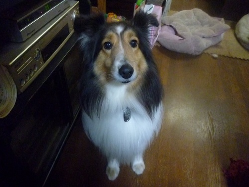 c0123890_2013415.jpg