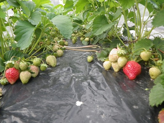 f0187402_2127575.jpg
