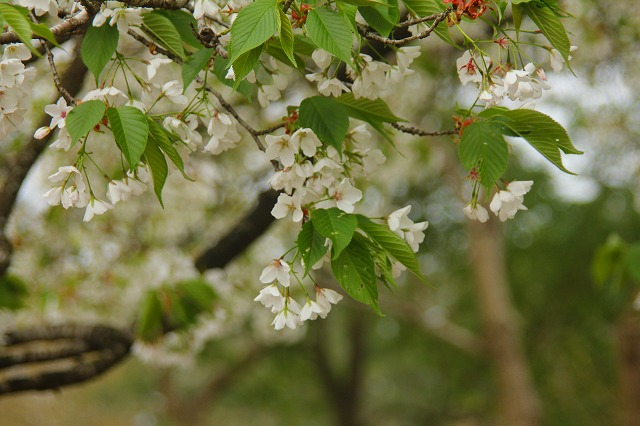 e0121110_22293247.jpg