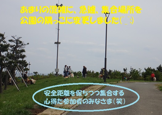 f0121712_5191730.jpg