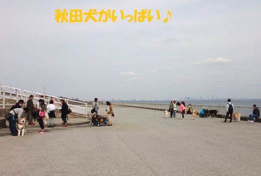 f0121712_8131329.jpg