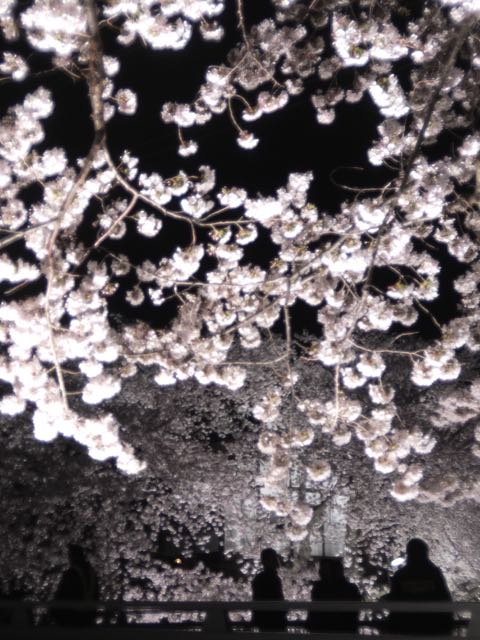 b0309813_122084.jpg