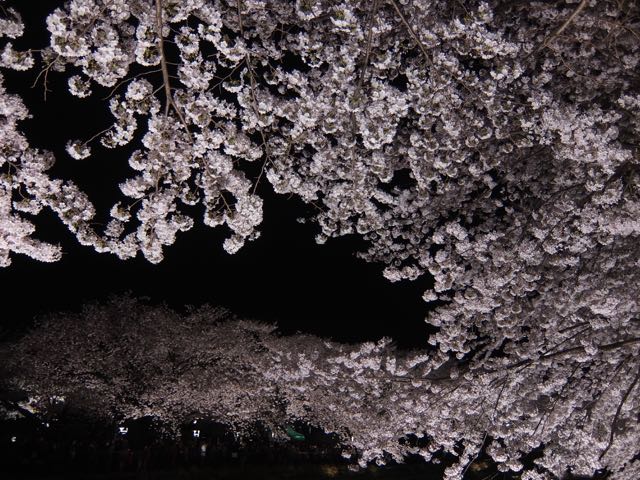 b0309813_123373.jpg