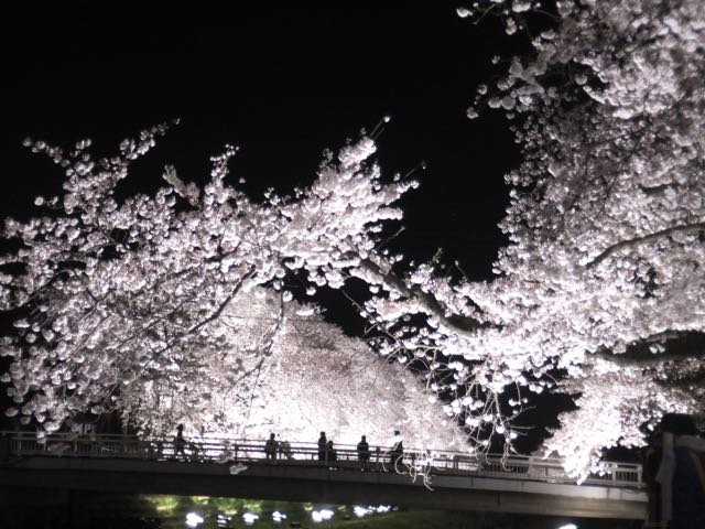 b0309813_12674.jpg