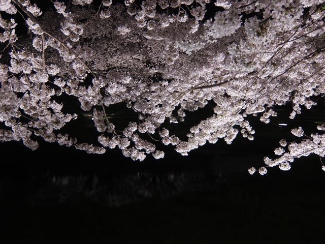 b0309813_13166.jpg
