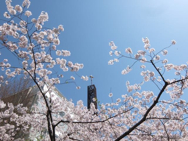 b0309813_23553.jpg