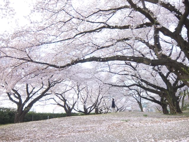 b0309813_330143.jpg