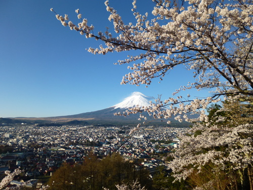 f0304030_12425676.jpg