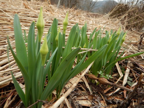 f0118332_01040123.jpg