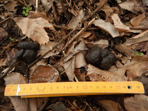 f0118332_01063913.jpg