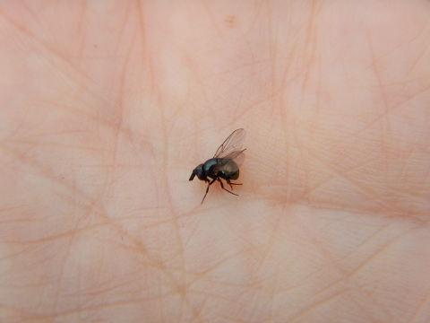 f0118332_01103410.jpg