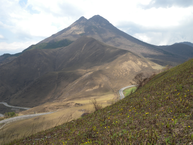 e0272335_4292161.jpg
