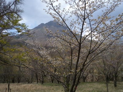 e0272335_4393573.jpg
