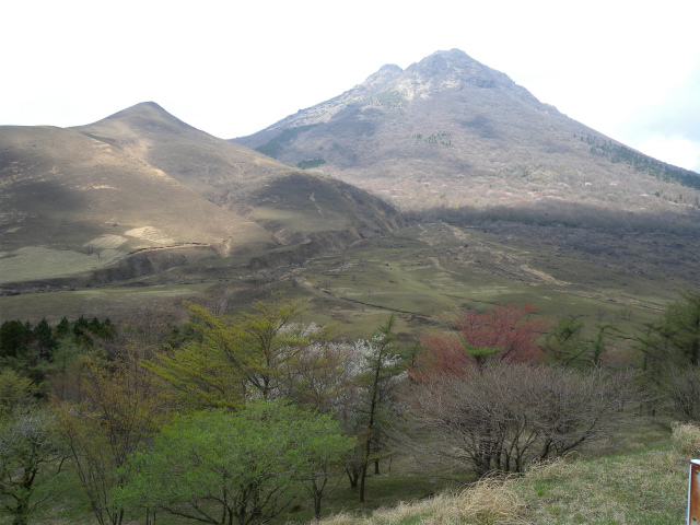 e0272335_4431162.jpg