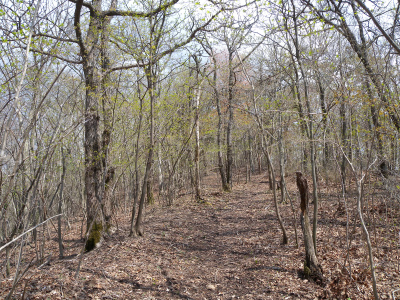 e0272335_449424.jpg