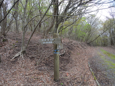 e0272335_4512890.jpg