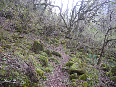 e0272335_5185656.jpg