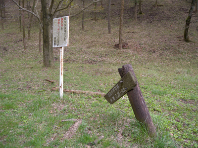 e0272335_5293113.jpg
