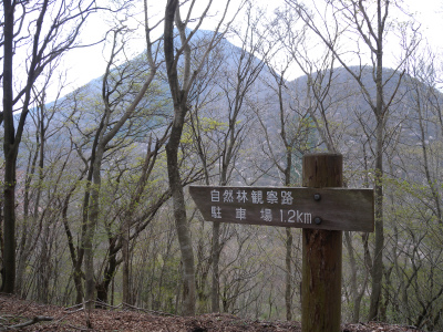 e0272335_571271.jpg