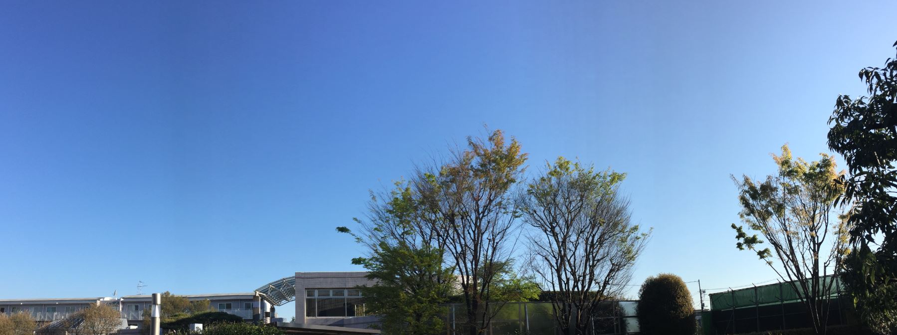 d0164636_9185640.jpg