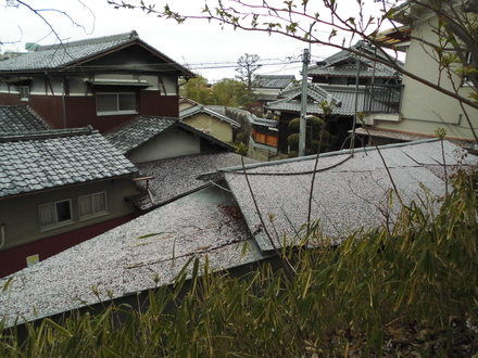 d0200138_17141967.jpg