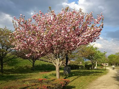 c0211540_14231872.jpg