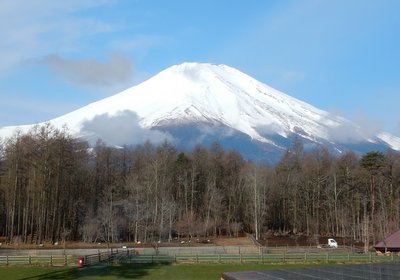 a0142343_11535119.jpg